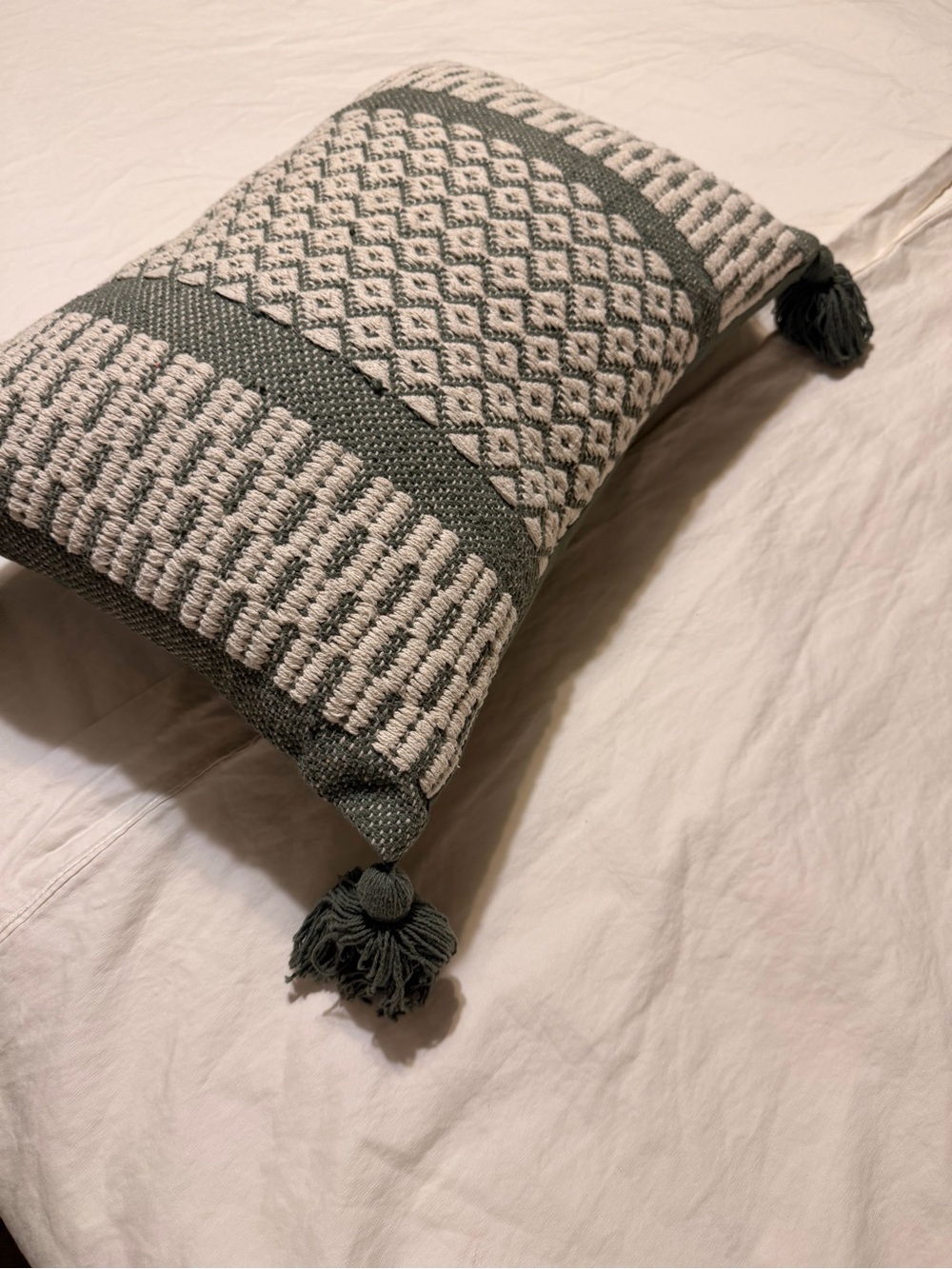Secret Celebrity Textured Diamond Tassel Throw Pillow in Sage and Cream